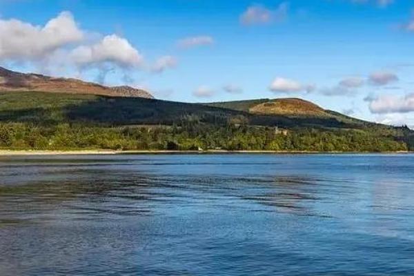 1981年出生的你,海之子,命运与人生的探秘之旅 1981年出生的你,海之子,命运与人生的探秘之旅