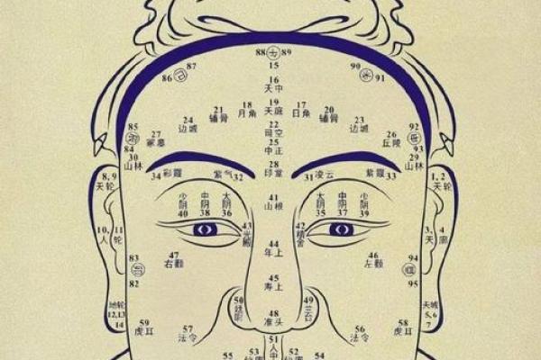 揭秘阳历4月17日出生者的命运与个性特征 揭秘阳历4月17日出生者的命运与个性特征