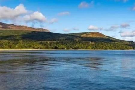 1981年出生的你，海之子，命运与人生的探秘之旅