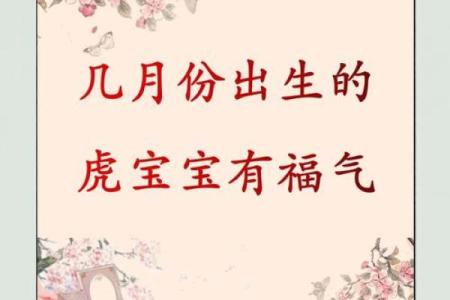 2022年属虎宝宝：他们的命运与未来潜力解析