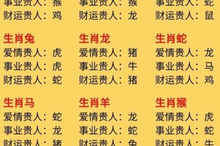 十一月出生属鼠的命运解析：生于秋冬的智慧与机遇