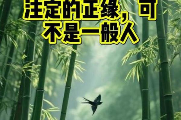 属狗人的命运解析:2018年你命中注定了什么? 属狗人的命运解析:2018年你命中注定了什么?