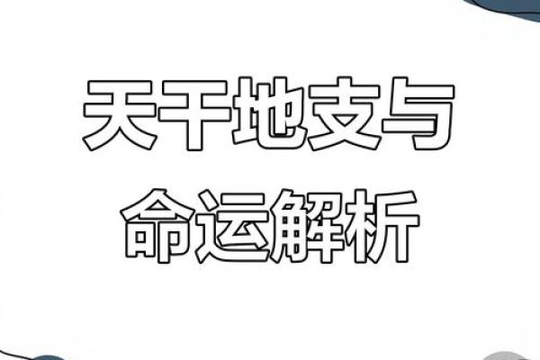 从天干看金命:探索生命的独特魅力与人生智慧 从天干看金命:探索生命的独特魅力与人生智慧