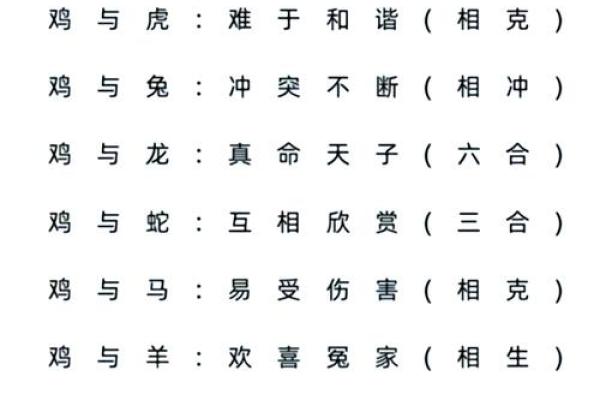 属鼠与属猪:五行之中什么命最佳?探究命理的奥秘! 属鼠与属猪:五行之中什么命最佳?探究命理的奥秘!
