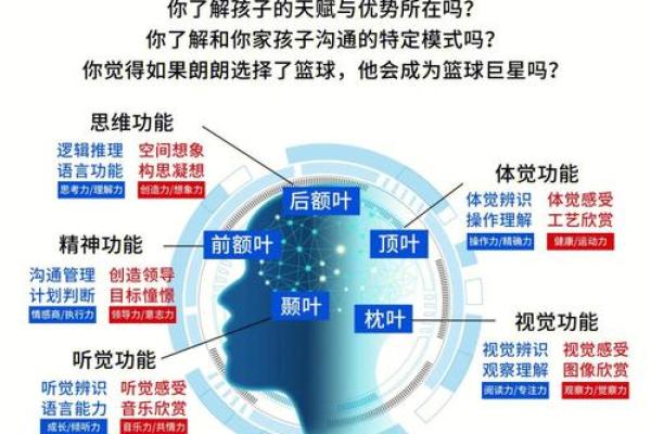 解密天生老板命的秘诀:成功背后的心理与能力 解密天生老板命的秘诀:成功背后的心理与能力