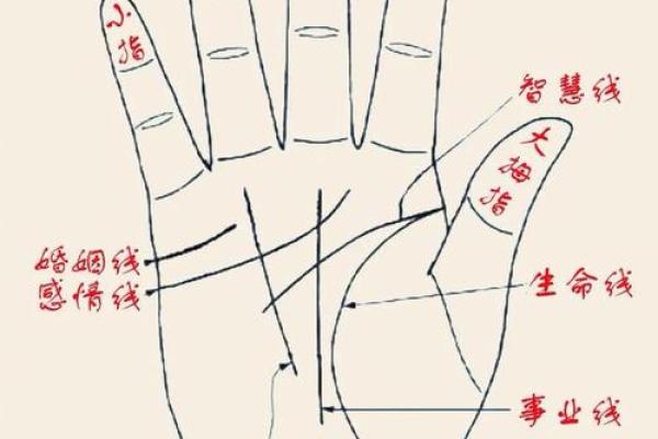 手相中的神秘红点:揭示命运的独特符号 手相中的神秘红点:揭示命运的独特符号