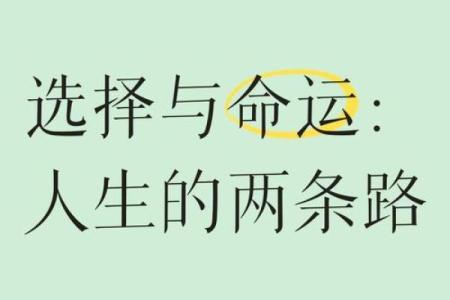 三十多岁女性的命运与选择：人生的转折点与幸福之路