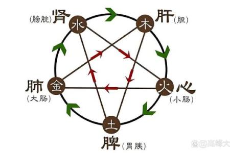 木土相生：揭秘木命与土命的奇妙关系