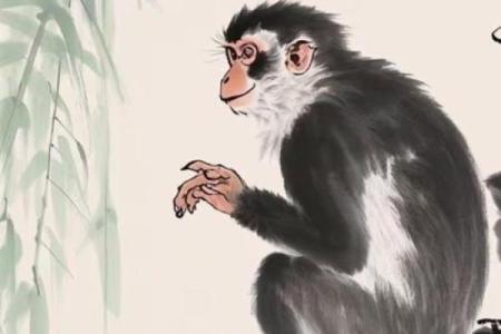 木猴命人缺什么颜色，助你运势大开！