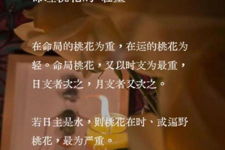 揭秘八字命理：一生犯桃花的真相与应对策略