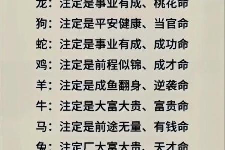 如何查找命格？揭开你的命运密码！