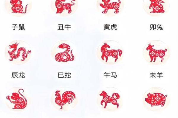 属猴1980年出生者的命运与性格解析 属猴1980年出生者的命运与性格解析