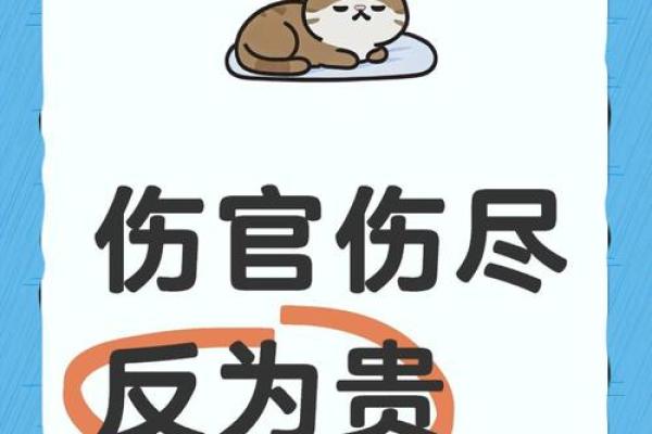 伤官的深层意义:揭示命局中的创造力与个性魅力 伤官的深层意义:揭示命局中的创造力与个性魅力
