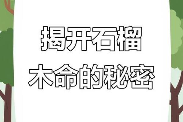 石榴木命:与哪些命最为契合,助你一生平安幸福! 石榴木命:与哪些命最为契合,助你一生平安幸福!