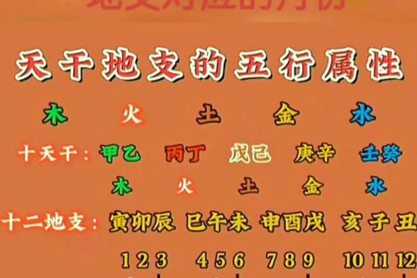 揭示丁寅命理:探索天干地支中的神秘力量 揭示丁寅命理:探索天干地支中的神秘力量