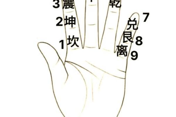 解密命理:探究西四命与东四命的奥秘与应用 解密命理:探究西四命与东四命的奥秘与应用