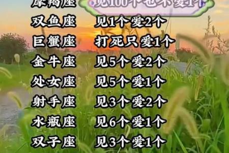 根据星座看命运，探索每个星座的独特命理之旅