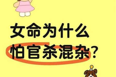 女子命分为小姐命与平民命，和谐共生的命运之旅