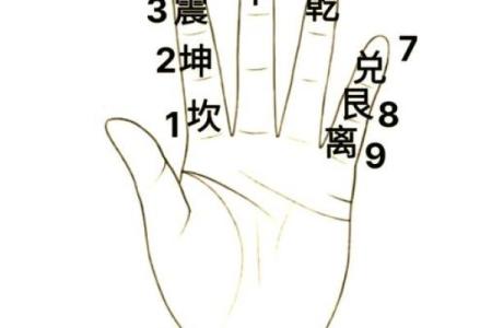 解密命理：探究西四命与东四命的奥秘与应用