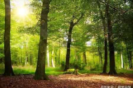 拼了命也要上好初中：为未来铺设成功的基石