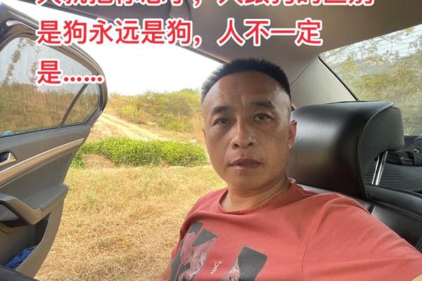 三月出生的狗,命中注定:您不可错过的幸福与机会! 三月出生的狗,命中注定:您不可错过的幸福与机会!