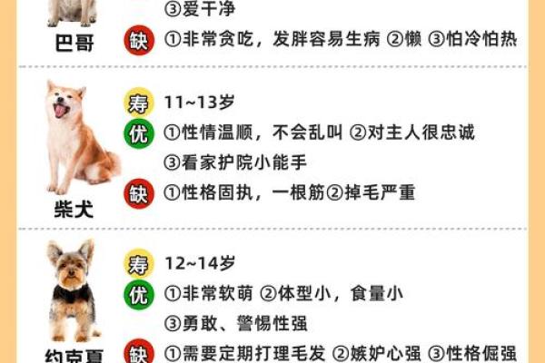 属狗水命人适合养什么动物?探索最佳宠物选择! 属狗水命人适合养什么动物?探索最佳宠物选择!