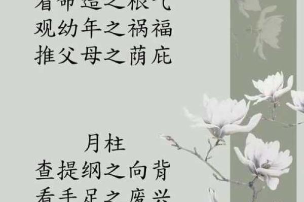 揭示命理的奥秘:什么命与什么命最配,这些组合幸福常伴! 揭示命理的奥秘:什么命与什么命最配,这些组合幸福常伴!