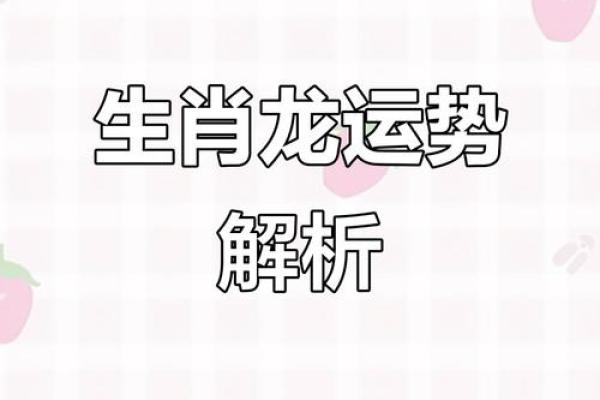 属龙者12月出生的命运解析与运势提升秘笈 属龙者12月出生的命运解析与运势提升秘笈