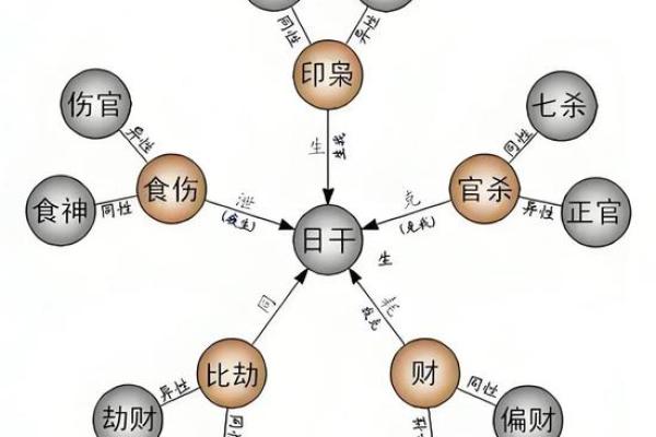 揭开女命坐比的神秘面纱，让你掌握命理之道！
