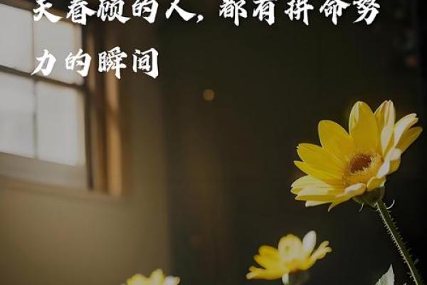 三昧真火的女孩:命里缺什么,才能点燃人生之光? 三昧真火的女孩:命里缺什么,才能点燃人生之光?