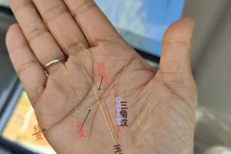 手相揭秘：杂乱手纹暗示的命运与性格探索