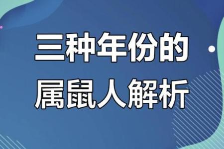 96年属鼠男的命运解析：探秘人生的精彩与挑战