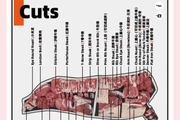 根据出生时间,牛命运好坏的秘密解析 根据出生时间,牛命运好坏的秘密解析