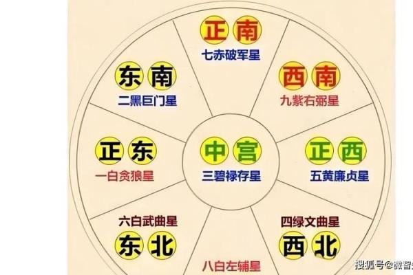 沙中土命家居风水布局与摆设指南 沙中土命家居风水布局与摆设指南