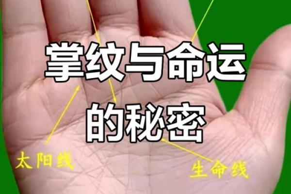 手相中的玉柱纹:揭示你命运的秘密与机遇 手相中的玉柱纹:揭示你命运的秘密与机遇