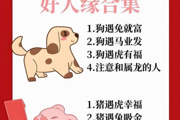 揭示女性生肖与命运的神秘联系:你属什么?命又如何? 揭示女性生肖与命运的神秘联系:你属什么?命又如何?