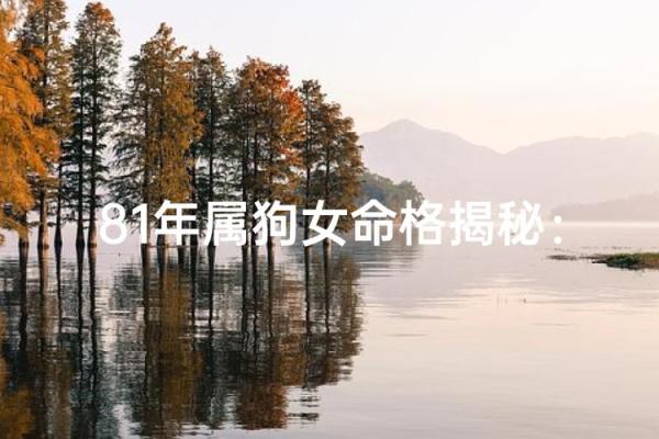 属狗人的命格分析:幸福与成功的最佳选择 属狗人的命格分析:幸福与成功的最佳选择