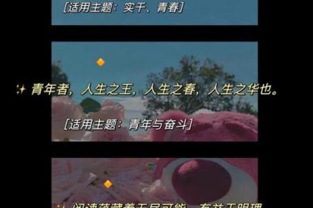 拼了命的上岸：探索人生的乐章与奋斗的旋律