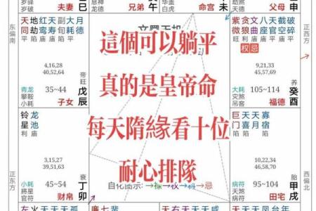 根据紫微命格，探索那些适合画画的命运之路