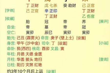女命八字解析：揭示命主的命运与个性特征