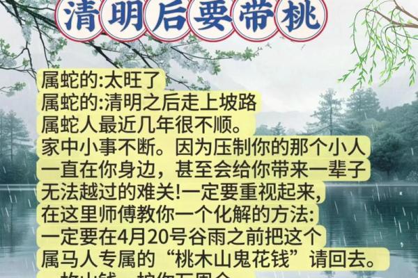 解密蛇命:找到与生肖相合的最优命运之道 解密蛇命:找到与生肖相合的最优命运之道