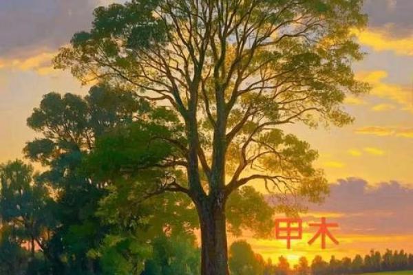 山涧流水与金命的缘分:命理中的神秘联系与人生启示 山涧流水与金命的缘分:命理中的神秘联系与人生启示