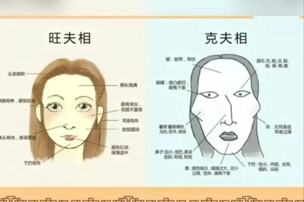 解析旺夫旺子的女命八字特征,揭示幸福家庭的秘密! 解析旺夫旺子的女命八字特征,揭示幸福家庭的秘密!