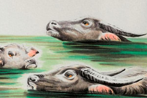 牛年未时出生的人,命运与性格揭秘! 牛年未时出生的人,命运与性格揭秘!