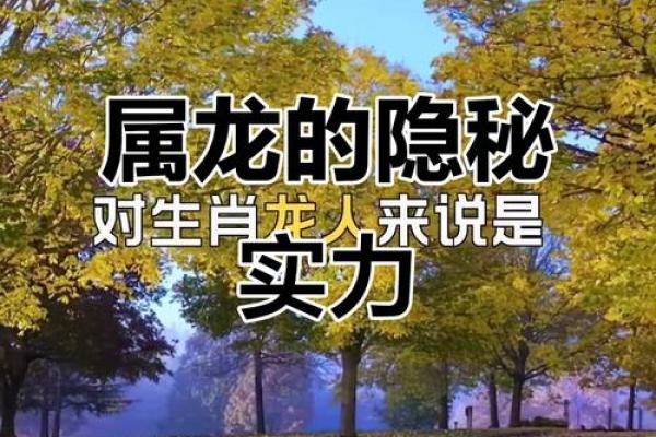 属龙五行属水：智慧与勇气的结合之道