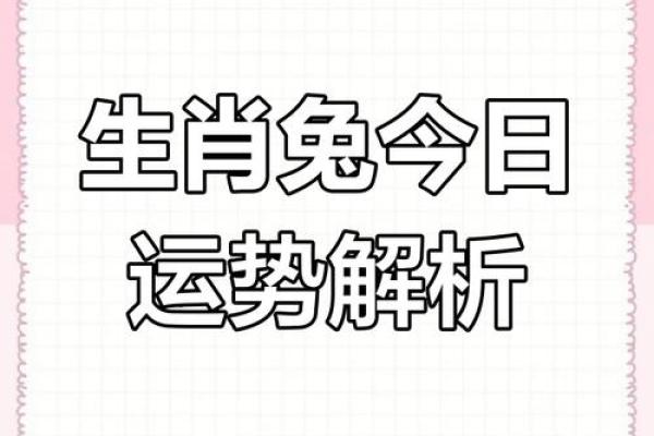 2026年农历生肖:火兔之年,命运与机遇的交织 2026年农历生肖:火兔之年,命运与机遇的交织