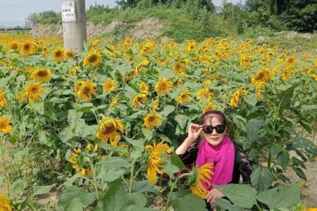 山涧流水与金命的缘分：命理中的神秘联系与人生启示