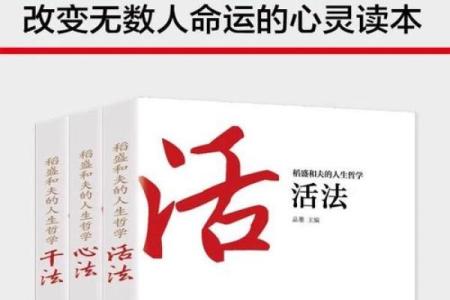 深究“十命九险”的生活哲学与启示