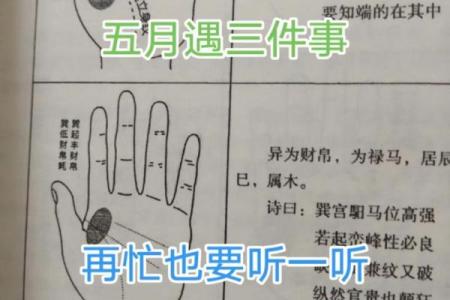 属猴土命的精彩笔名之旅：创造属于自己的文字天地