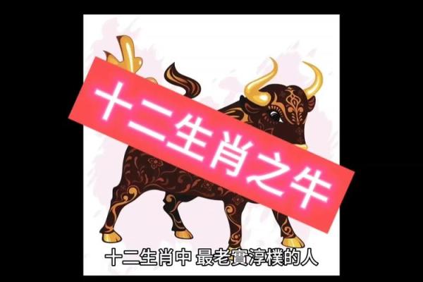 属牛的人是什么命?揭开命运的神秘面纱! 属牛的人是什么命?揭开命运的神秘面纱!